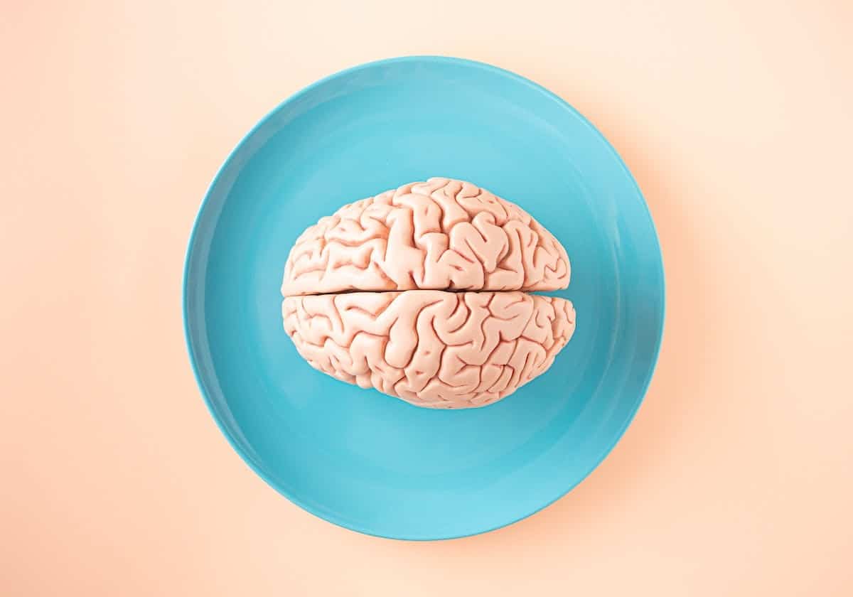 alimentation  cerveau